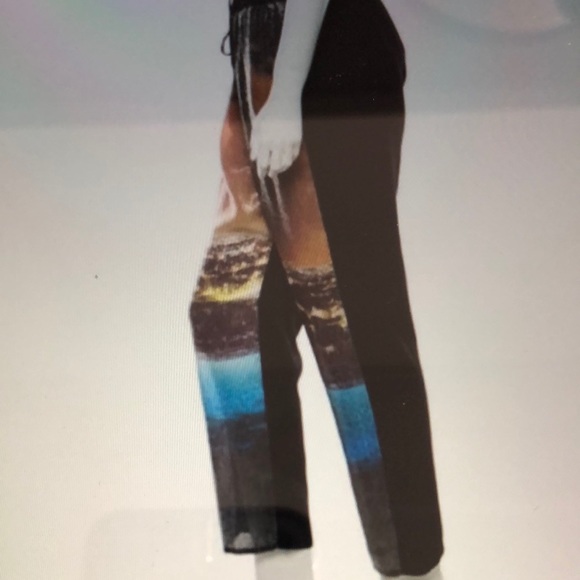 CLOVER CANYON ELEGANT SEQUINED PANTS - Picture 2 of 11